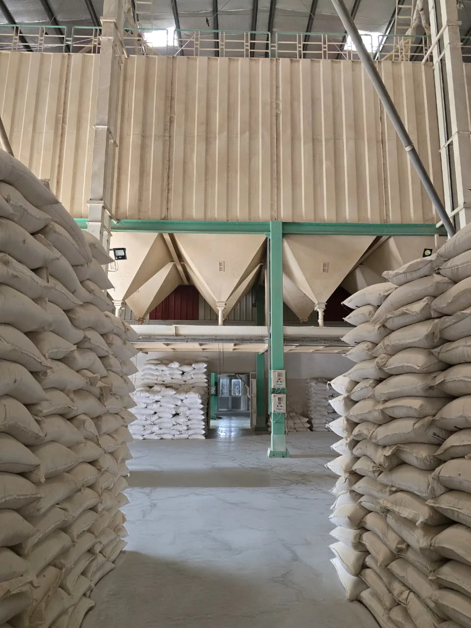 HS Proteins Vasad facility — milling floor